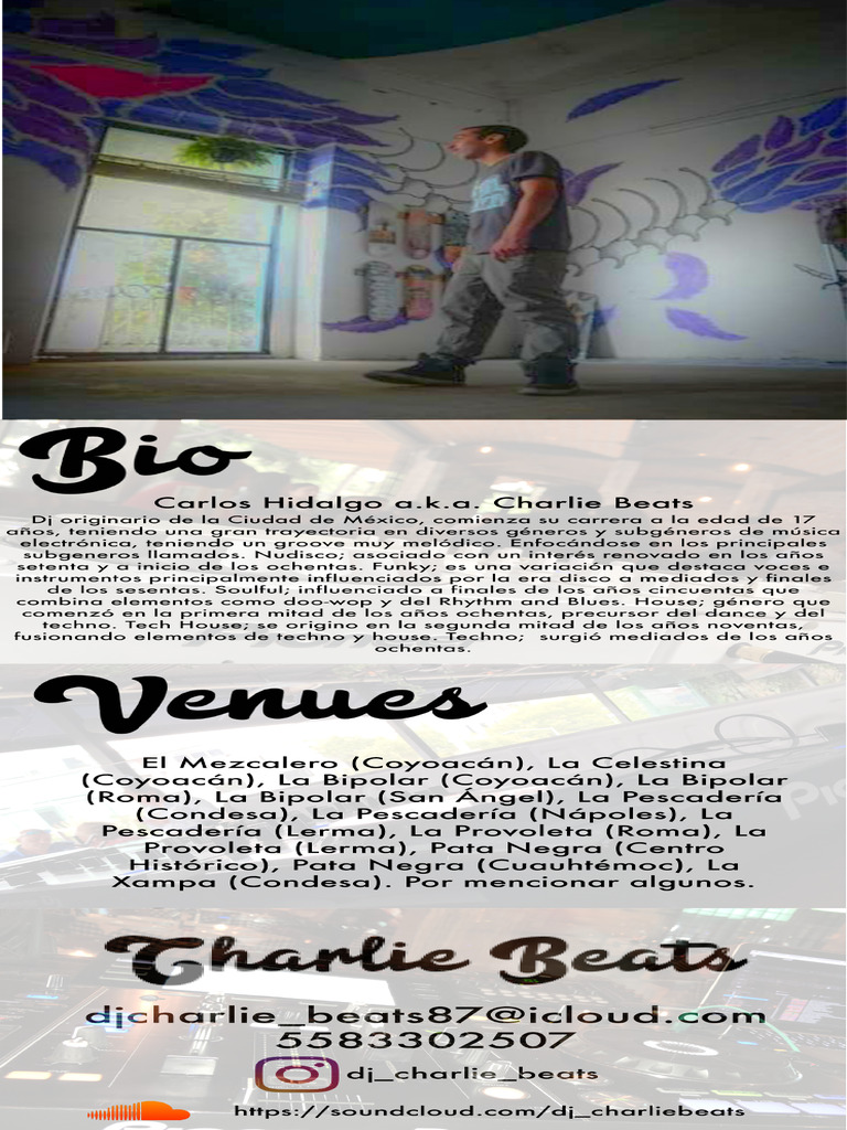 DJ Charlie Beats Press Kit | PDF