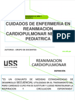 Reanimacion Cardiopulmonar