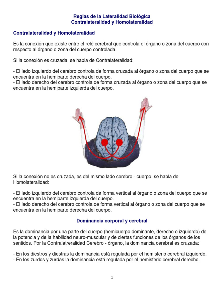 Reglas de la Lateralidad Biológica | PDF | Handedness | Cerebro