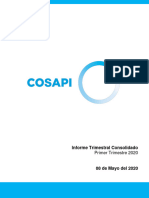 Informe Trimsestral Cosapi - Final