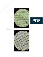 Imagenes Resultados