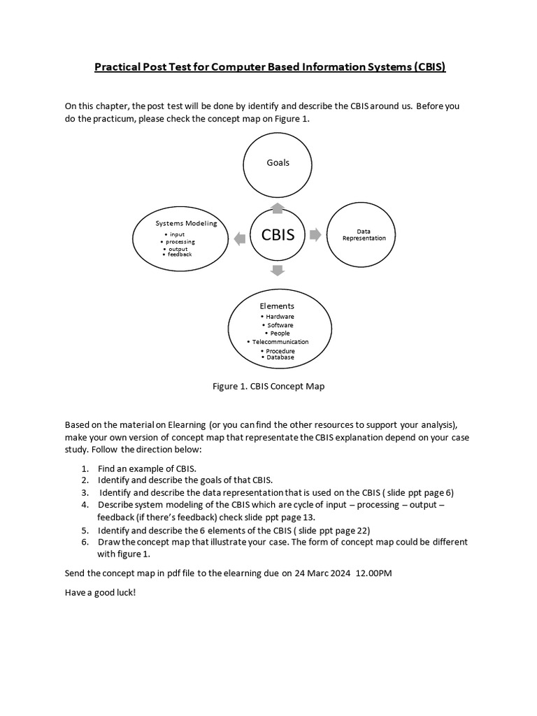 CBIS Post Test: Concept Map Guide | PDF