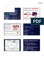 Introdução à Hematologia 2022