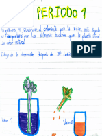 Foro 2 Periodo 1 Ciencias Naturales