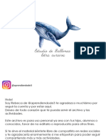 Estudio de Ballenas - aprendiendode3