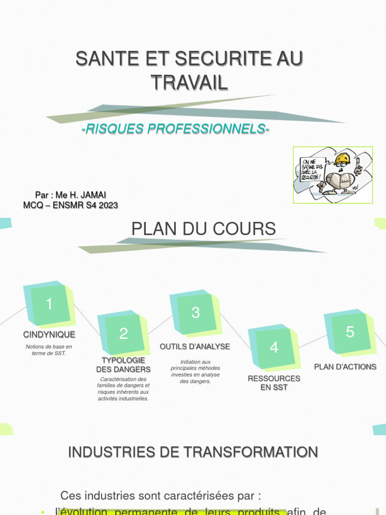 Management Des Risquess | PDF | Risque | Infection