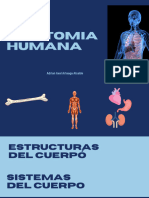 Anatomia Humana