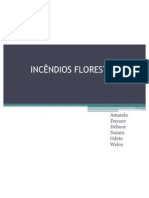 INCÊNDIOS FLORESTAIS