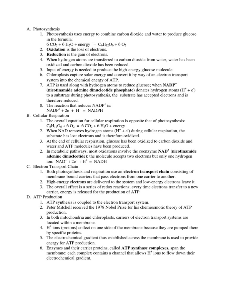 Photosynthesis Notes | PDF | Nicotinamide Adenine Dinucleotide | Redox