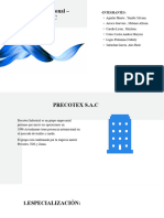 Diseño Organizacional - PRECOTEX S