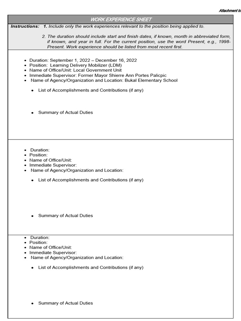Work Experience Sheet Instructions | PDF