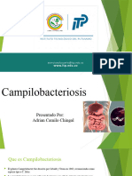 campilobacteriosis