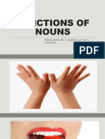 Functions of Nouns
