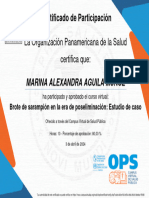 Brote de Sarampión en La Era de Poseliminación Estudio de Caso-Certificado Del Curso 4235661