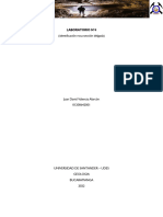 Clasificacion Sección Delgada