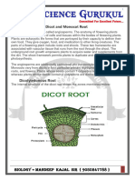 MONOCOT AND DICOT ROOT PDF 