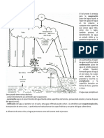 Ciclos Biogeoquímicos