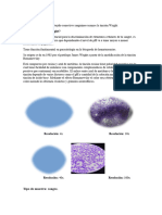 Informe Parte Muestra de Sangre