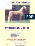 Interacción Génica 2005