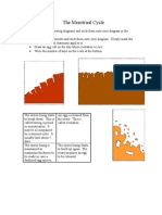 The Menstrual Cycle Worksheet