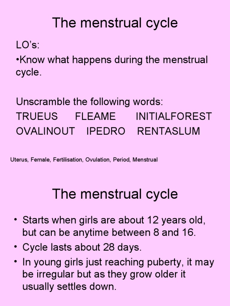 the-menstrual-cycle-ppt