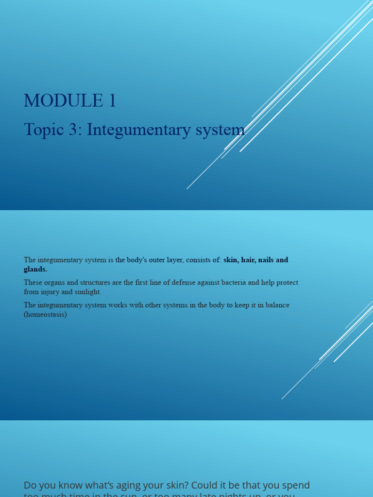 Integumentary System Overview | PDF | Skin | Integumentary System