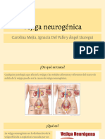 Vejiga Neurogénica