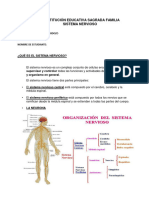 Taller de Sistema Nervioso