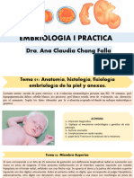 Embrio I Clases