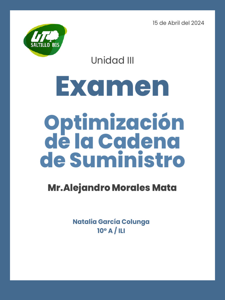 Optimización de la Cadena de Suministro | PDF | Logística | Software