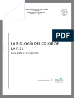 Guía-Nº1_3ºMedio_Ciencias-para-la-ciudadania_Biología-color-de-la-piel