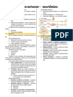 1 - Sistema Nervoso - Neurônios