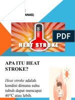 Heat Stroke