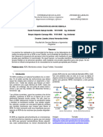 Informe Adn 00