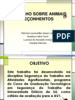 TRABALHO SOBRE ANIMAIS PEÇONHENTOS