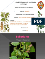 1. Atropa belladona