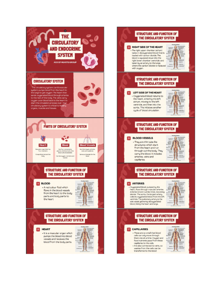 Gen Bio 3rd Quarter Lessons Printed Copies For Notebook | PDF