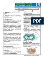 CITOLOGIA 4ª