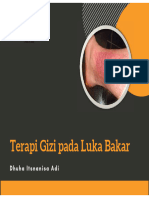 Terapi Gizi pada Luka Bakar