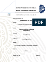 Creación de Una Empresa U Organización Inteligente