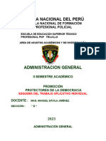 05.trabajo Indiv. y Colectivo - Administracion PNP Protectores