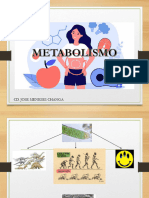 Metabolismo 1