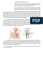 Anatomia y Fisiologia de La Voz