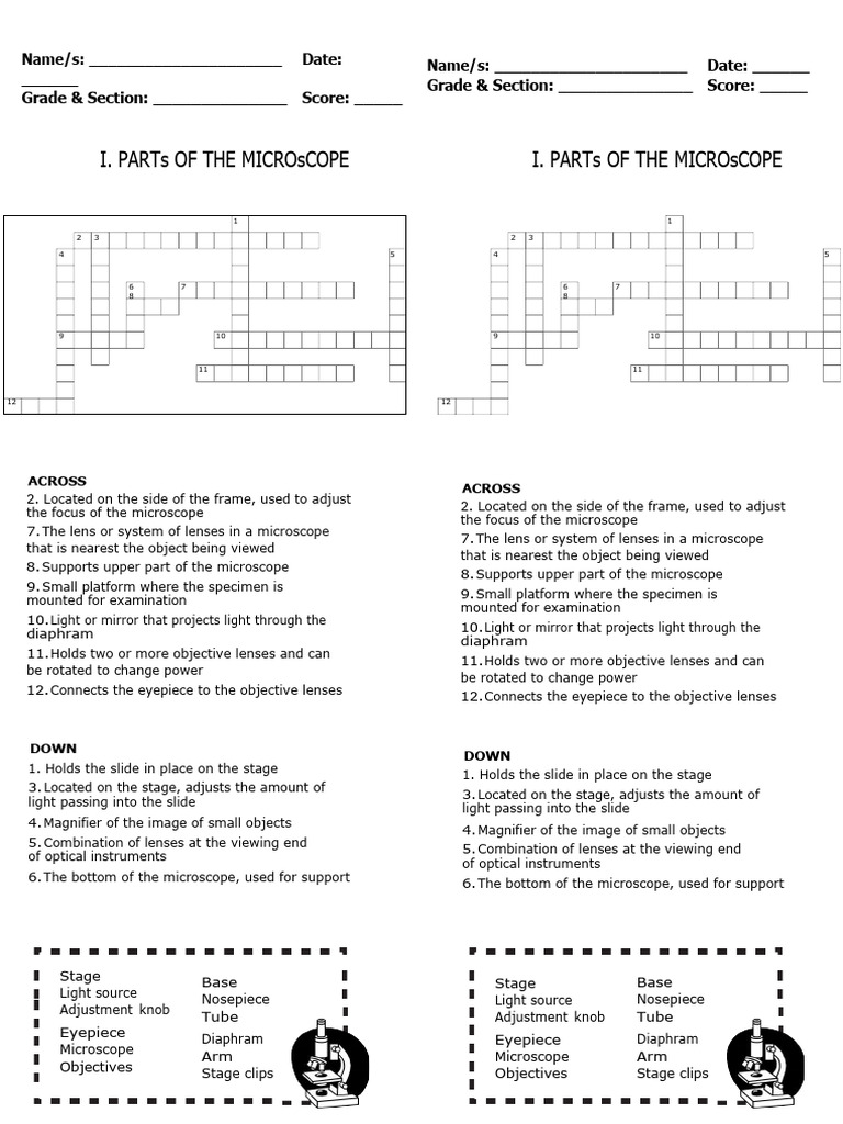 Parts of The Microscope1 PDF Microscope Optical Devices