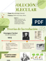 grupo 2 que es la evolución molecular