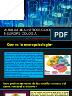 Auxi Neuro Luria Cerebro