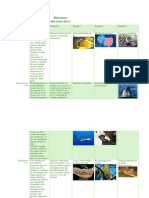 Relaciones-interespecíficas