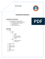 Contenido Anatomia I 2024 DR - Diego Mendez