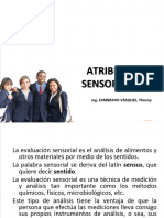 1.1 Atributos Sensoriales