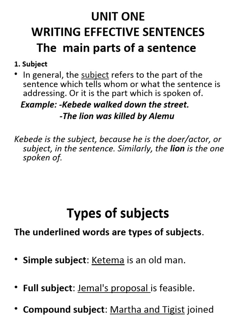 Writing Skills Unit One | PDF | Grammatical Number | Clause